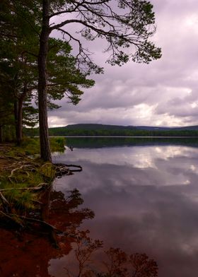 Loch in the Morning