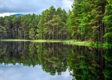 Summer in Scotland