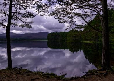 Cairngorms Morning