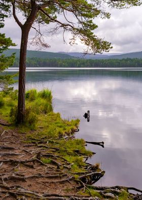 Cairngorms National Park