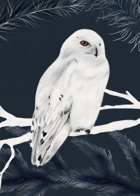 White winter owl perches