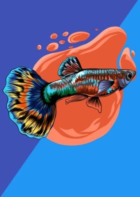 guppi fish