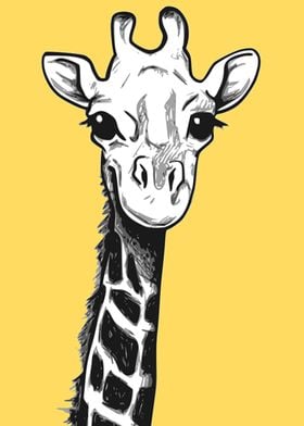 Yellow Giraffe