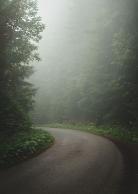 Misty Road