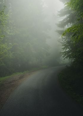 Misty Road