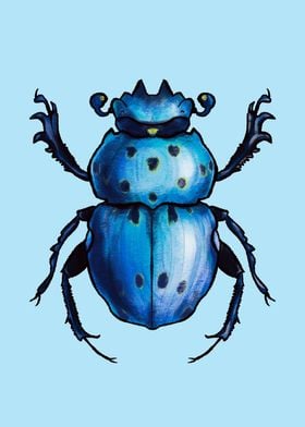 Blue Beetle Cool Insect