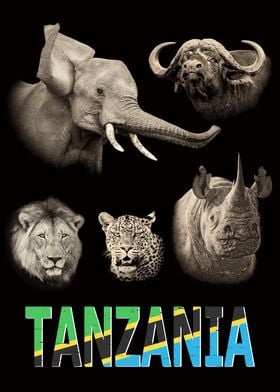 Tanzania Big 5 Widlife