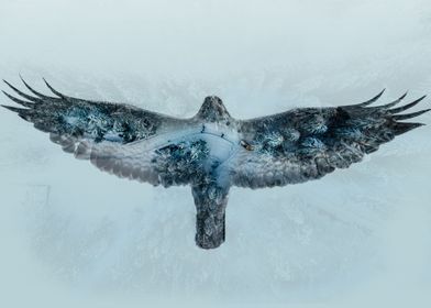 Snow bird double exposure