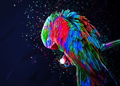 Cplored Parrot II