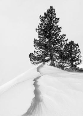 About the snow and forms