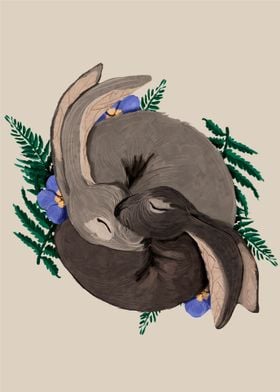 Hares embraced
