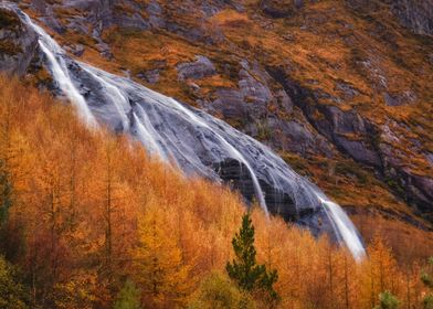 Above fiery larch trees