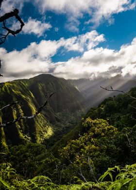 Maui Landscape