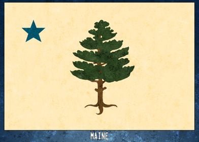 Maine Flag 1901