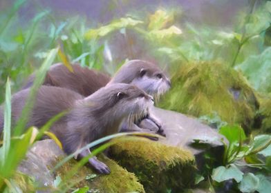 Otter Duo