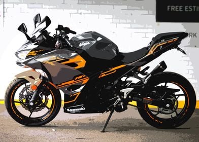 Kawasaki Ninja Motorcycle