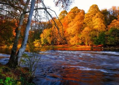 At the rapids