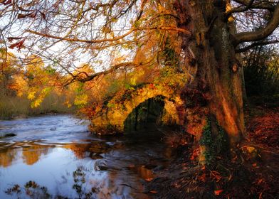 At the old bridge