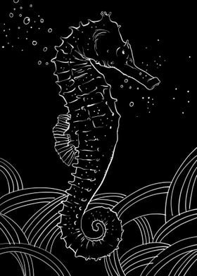 Seahorse animal wildlife