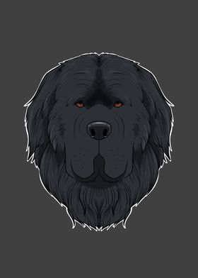 Newfoundland Lover I Dog