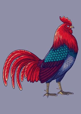 Cool chicken Rooster