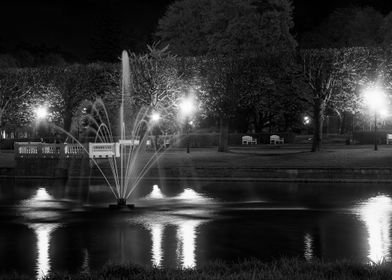 Fountain On The Swan Lake