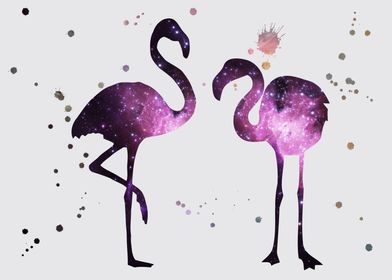 Flamingo nebula