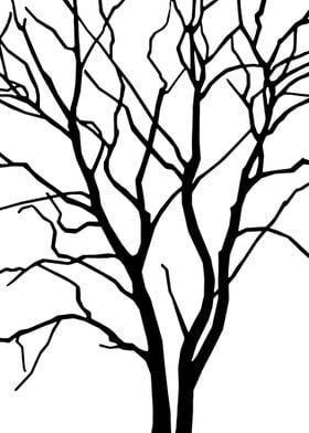 Tree Silhouette