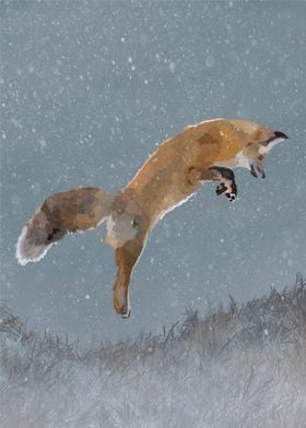 Fox jumping in the snow