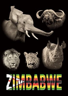 Zimbabwe Big 5 Wildlife