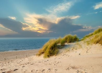 Relax on Sand