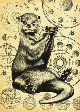 Astronomy Otter