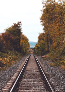 Autumn Railroad