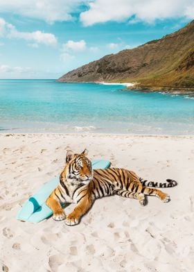 Tiger Surf Beach