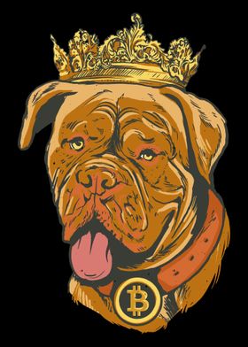 Dog Bitcoin king dollar