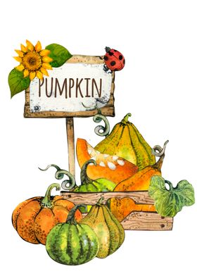 Pumpkin Stand Watercolor 