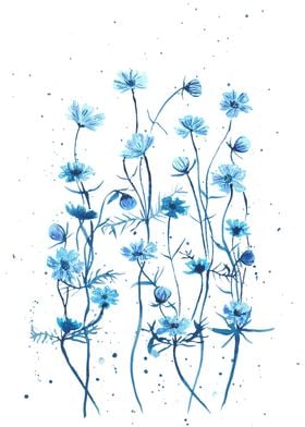 Blue Daisies