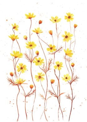 Yellow Daisies