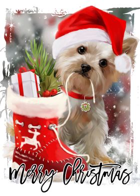 Christmas Cute Puppy Dog