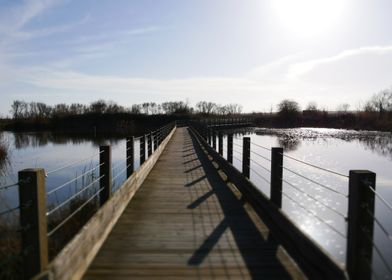 Pont sur l eau