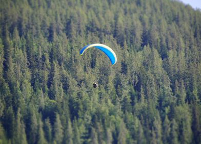 Parapente dans les arbres