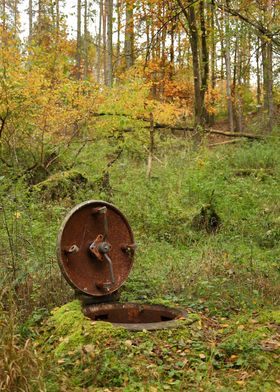 Forest Submarine