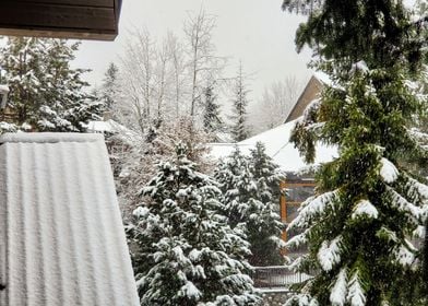 Whistler BC Balcony View