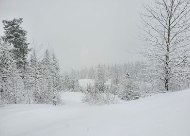 Whistler BC snow