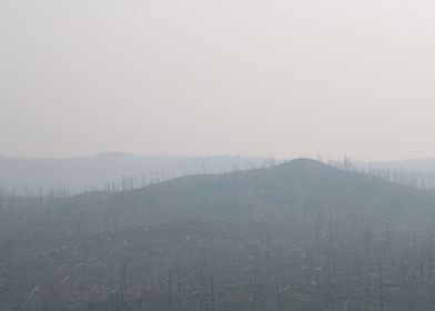 Fire Ravaged Hills