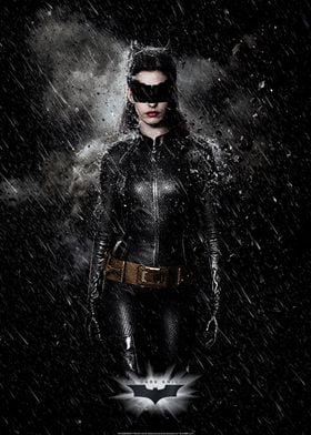 Catwoman' Poster by DC Comics | Displate