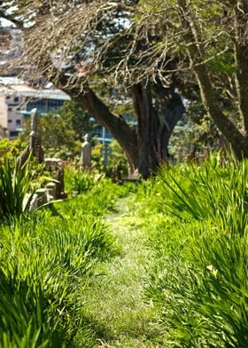 Mount Wellington Walks