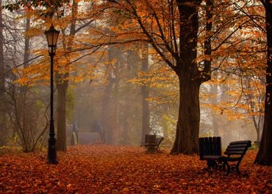 Autumn landscape in park