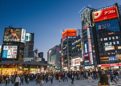 Shinjuku Nights Tokyo