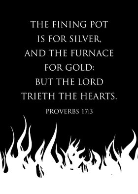 Proverbs 17 3